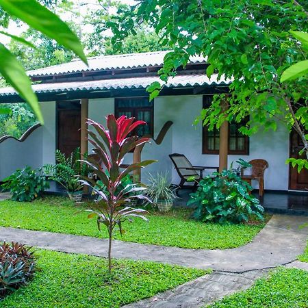 Nimsara Lodge Sigiriya Eksteriør bilde