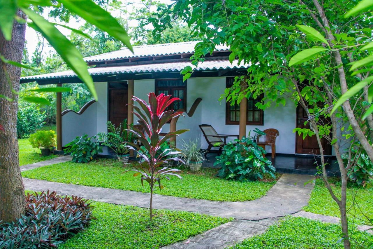 Nimsara Lodge Sigiriya Eksteriør bilde
