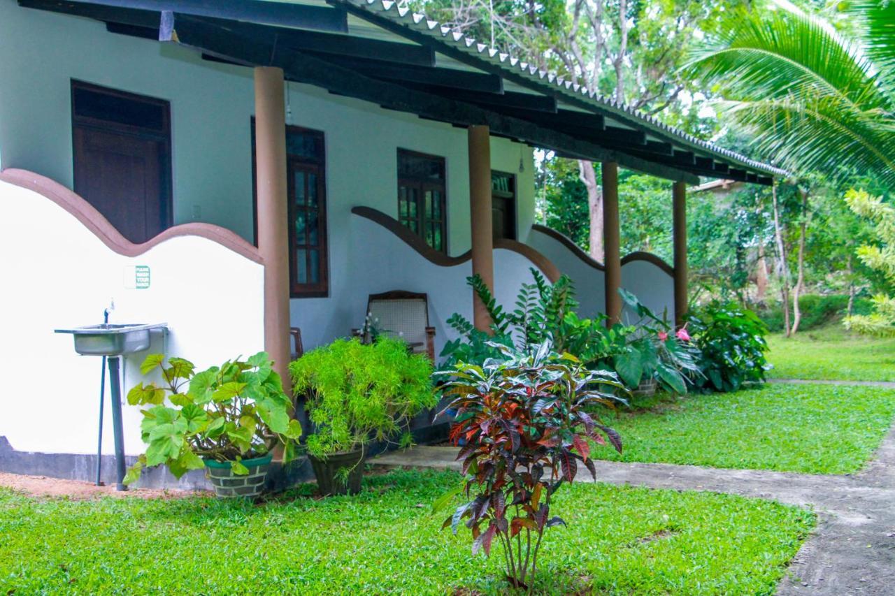 Nimsara Lodge Sigiriya Eksteriør bilde