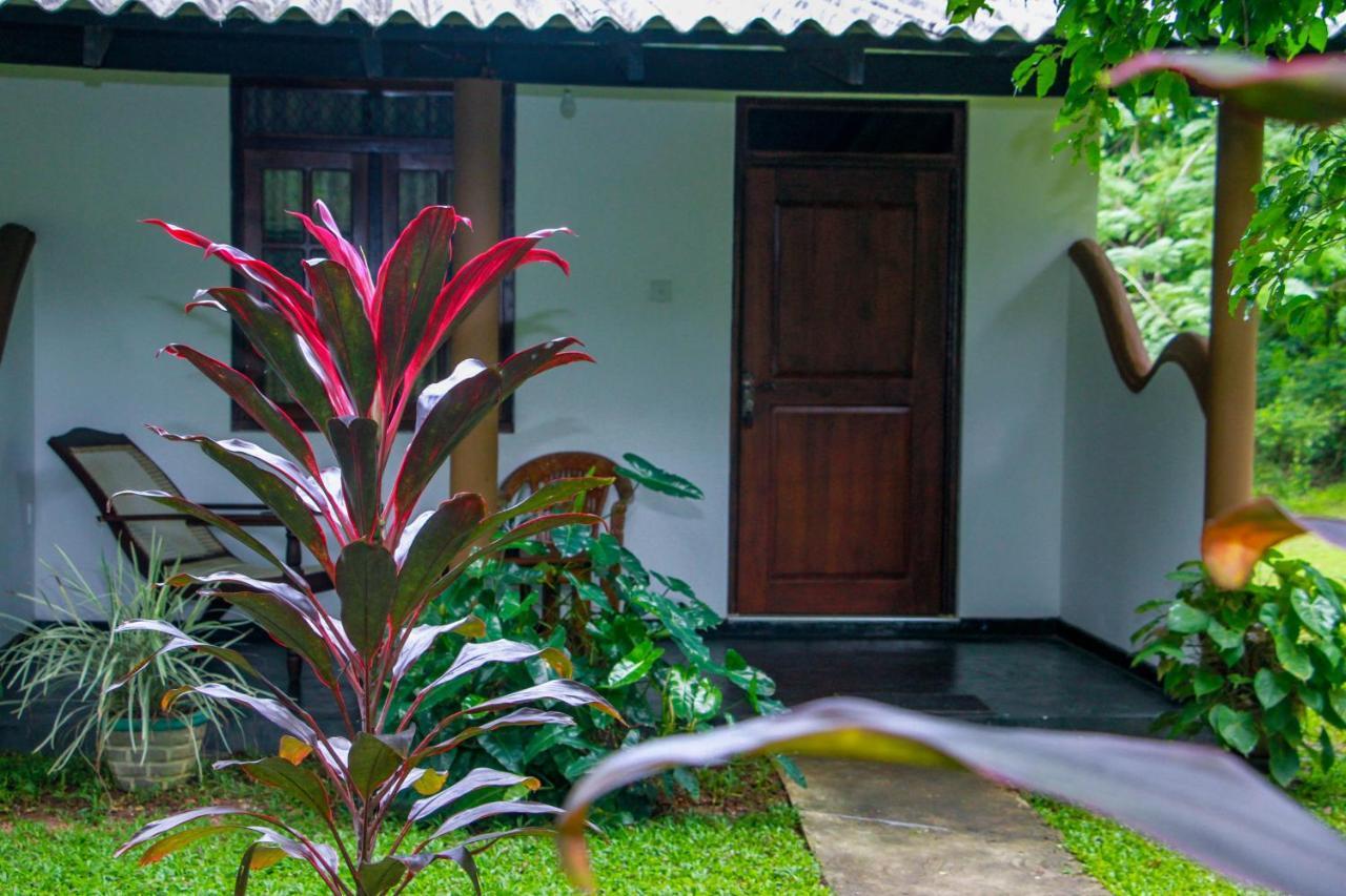 Nimsara Lodge Sigiriya Eksteriør bilde
