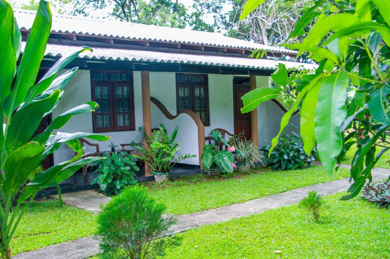 Nimsara Lodge Sigiriya Eksteriør bilde