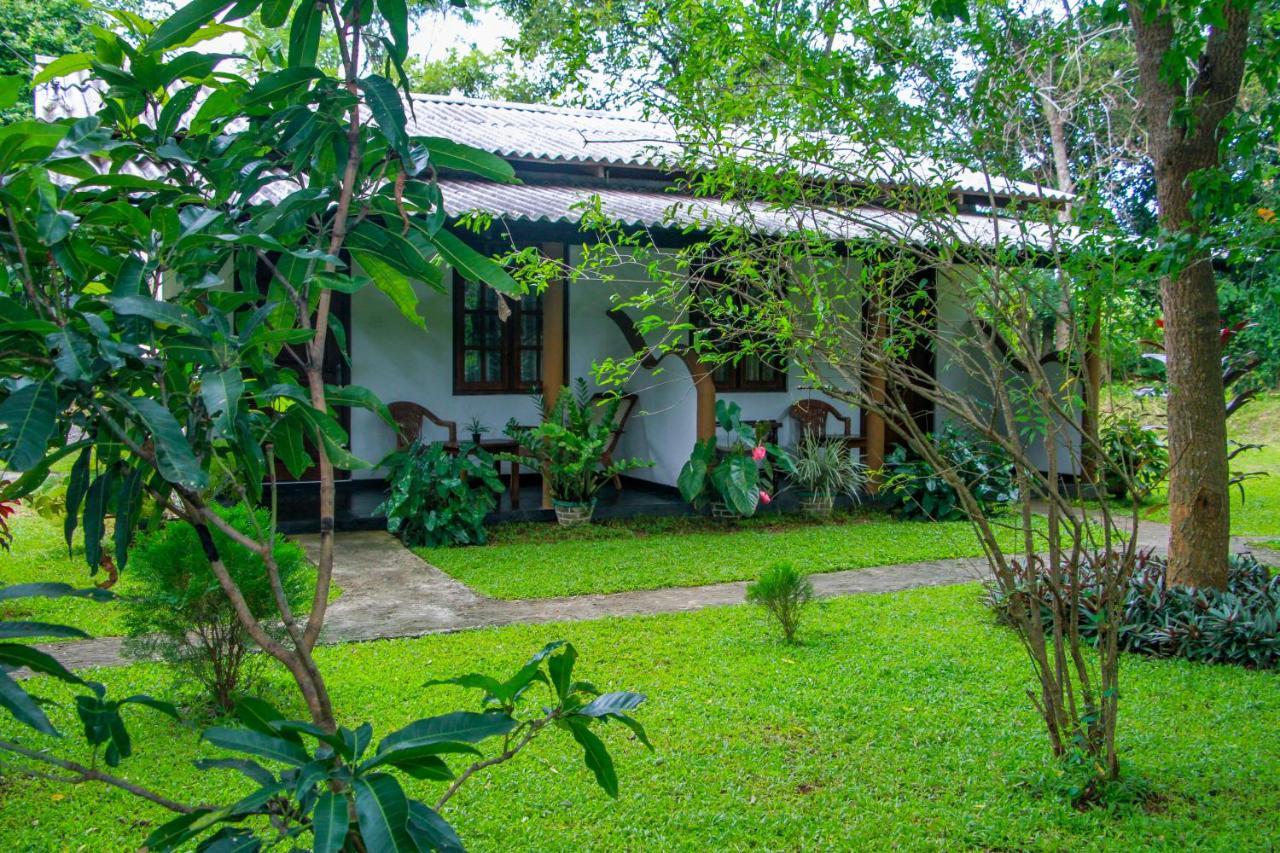 Nimsara Lodge Sigiriya Eksteriør bilde