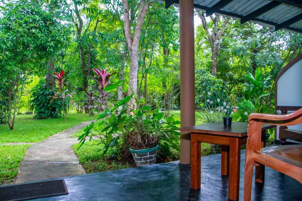 Nimsara Lodge Sigiriya Eksteriør bilde