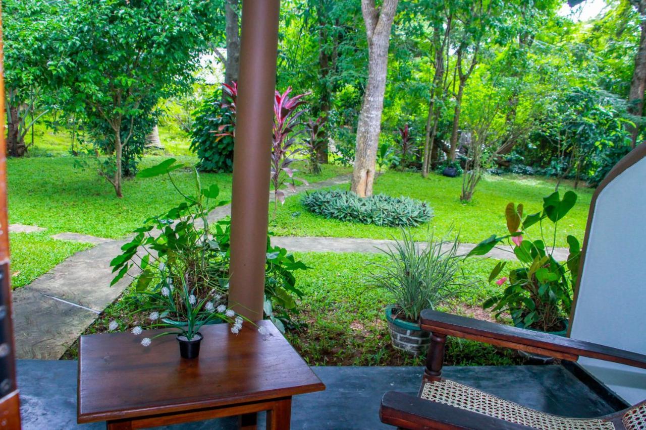 Nimsara Lodge Sigiriya Eksteriør bilde