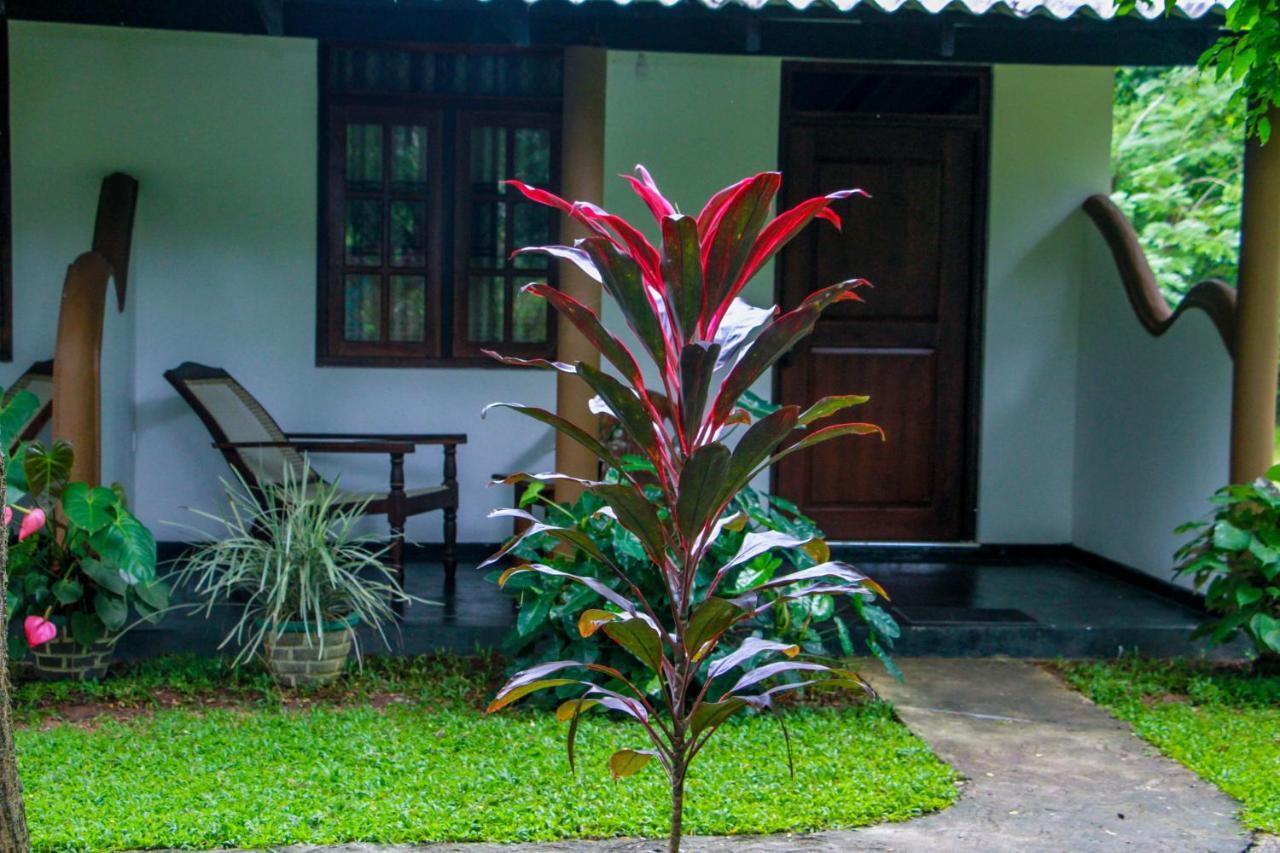 Nimsara Lodge Sigiriya Eksteriør bilde