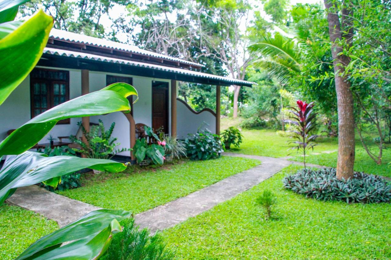 Nimsara Lodge Sigiriya Eksteriør bilde