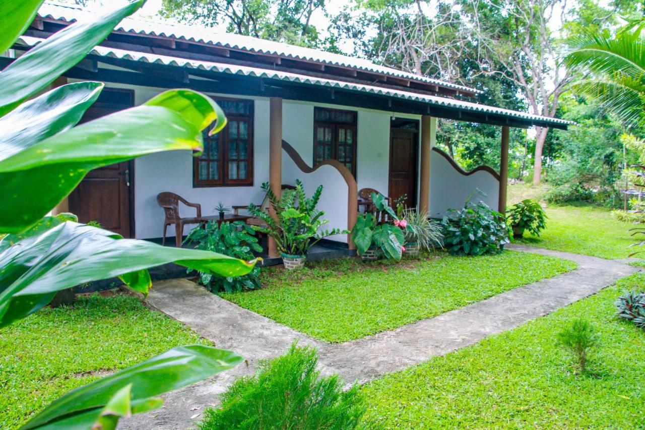 Nimsara Lodge Sigiriya Eksteriør bilde