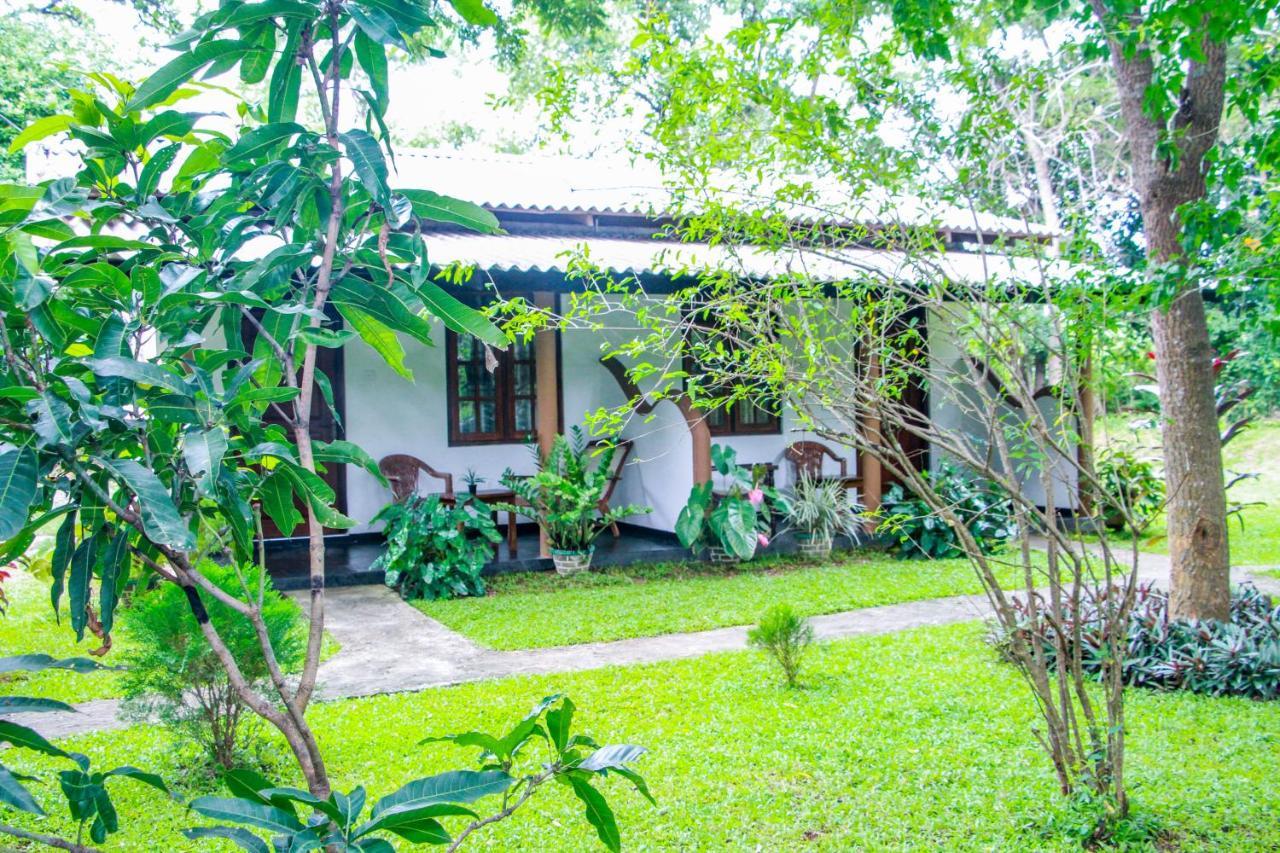 Nimsara Lodge Sigiriya Eksteriør bilde