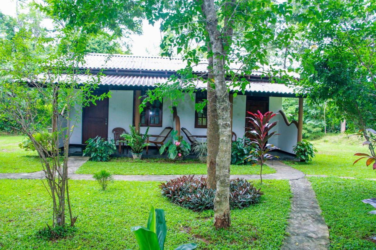 Nimsara Lodge Sigiriya Eksteriør bilde